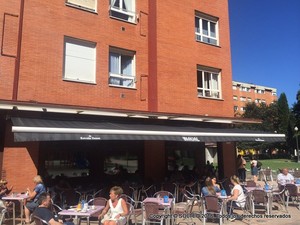 Toldo brazo telescopico